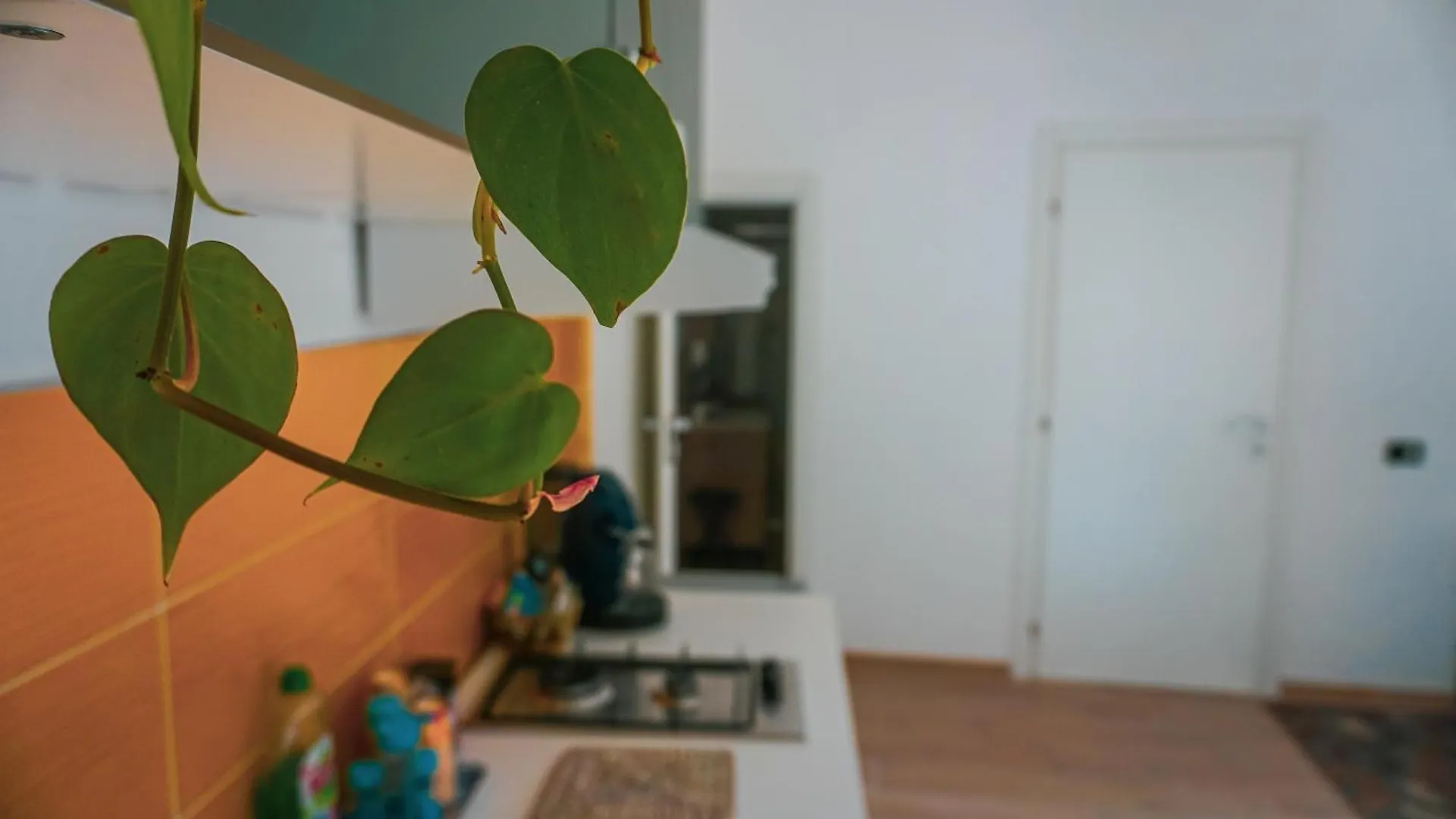 Ferienwohnung Ospiti A Casa Mia Palermo 0*,